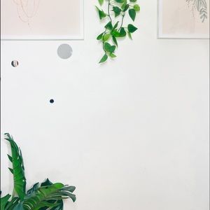 COPY - COPY - COPY - COPY - ✨Welcome!✨